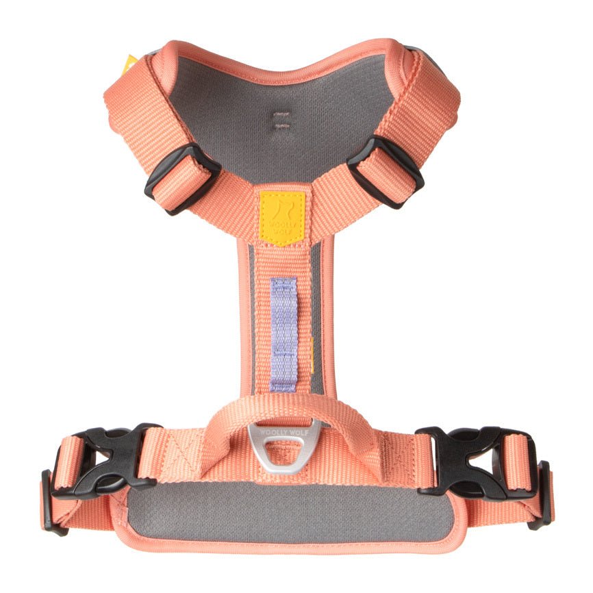 Roam Dog Harness - XS