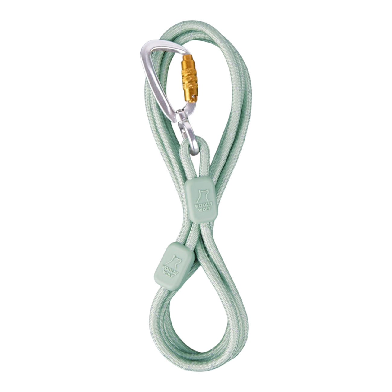 Light green dog leash with a silver and gold clasp, looped neatly with two rectangular tags attached.