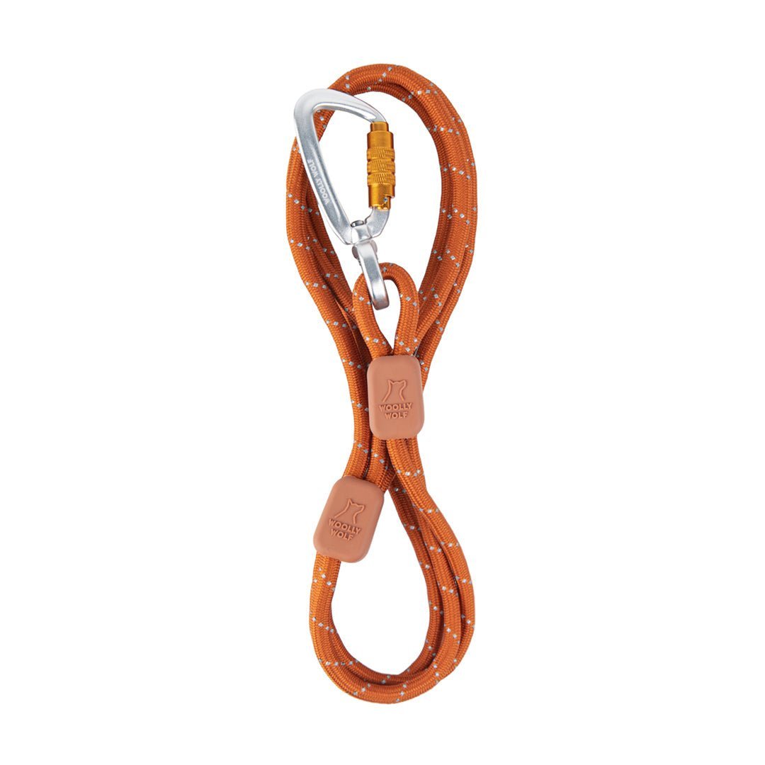 Rope Leash Thin Terracotta 