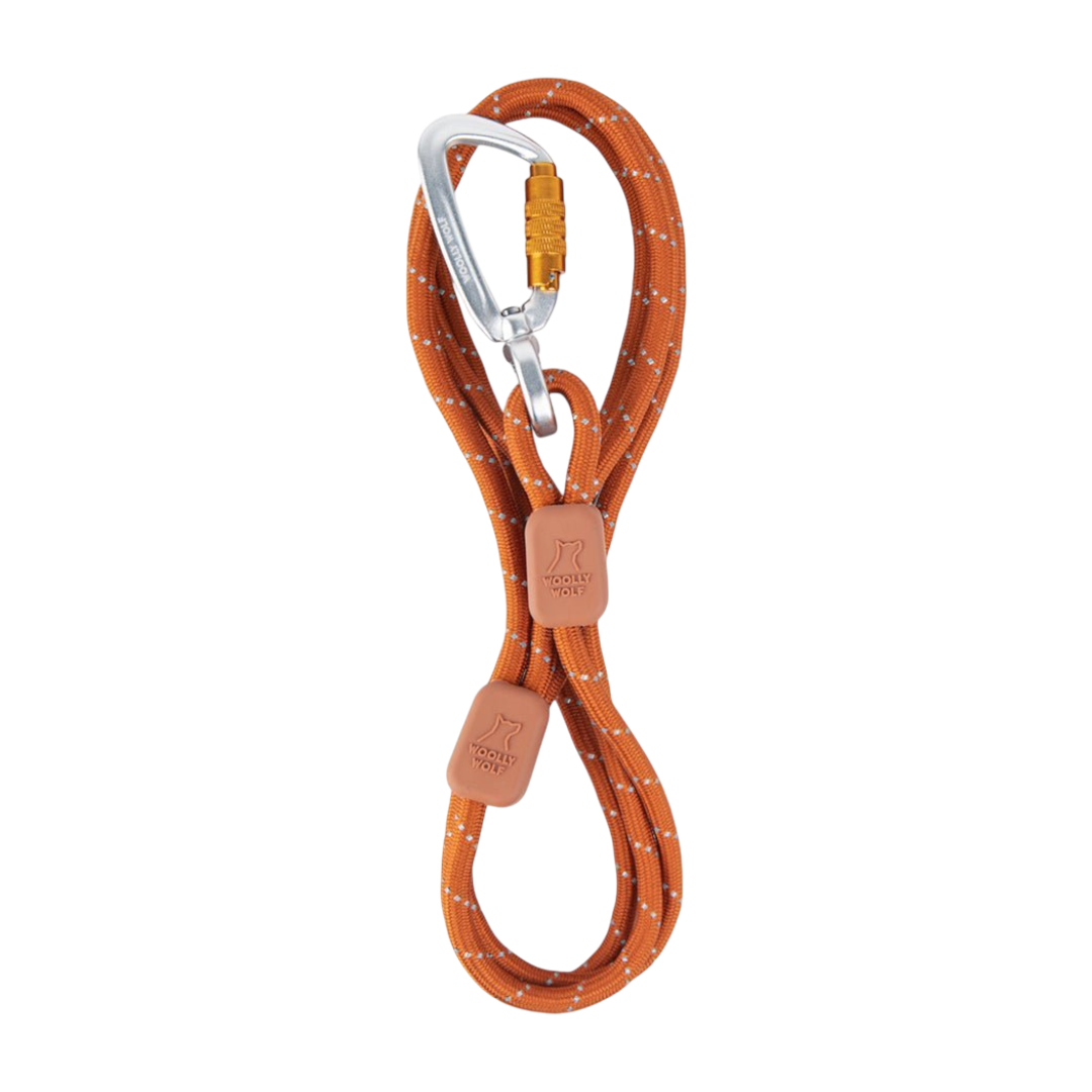 Orange rope leash with white accents, two leather tags, and a silver locking carabiner on a white background.
