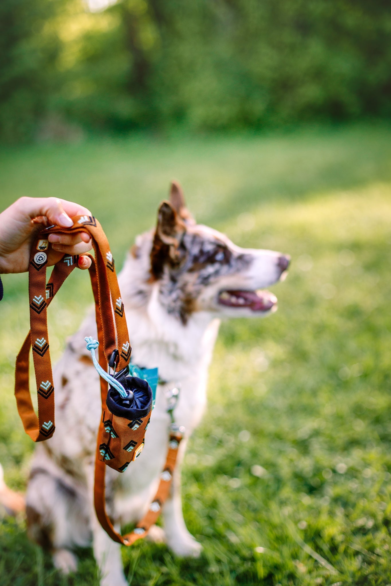 Sea to Summit Dog Poop Bag Holder - 