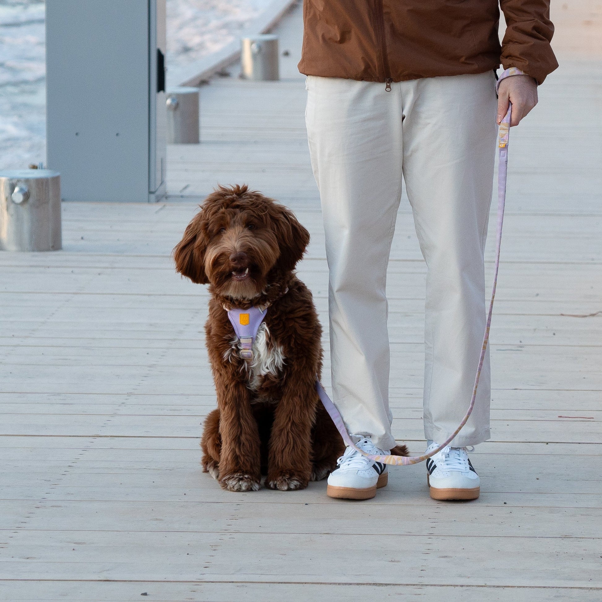 A brown dog on a leash sits next to a person wearing white pants on a wooden boardwalk by the water.