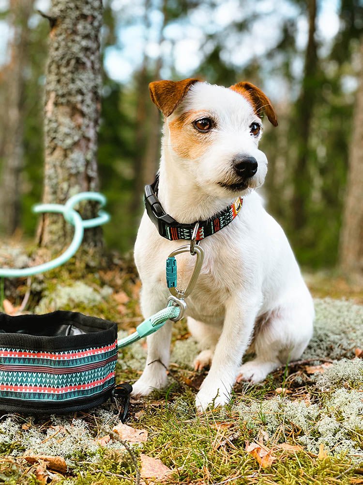 Woolly Wolf Rope Leash Mint Green - 
