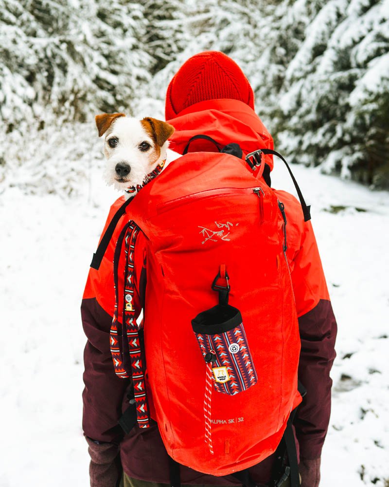 Polar Night Snack Bag -